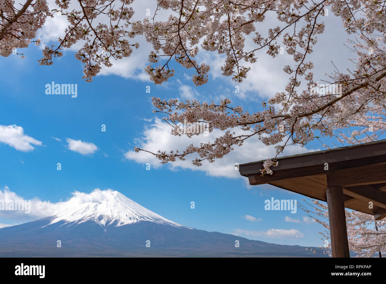 Mount Fuji (Mt. Fuji) mit blauem Himmel Hintergrund in Sakura Kirschblüte. Arakurayama Sengen Park, Fujiyoshida, Yamanashi, Japan Stockfoto