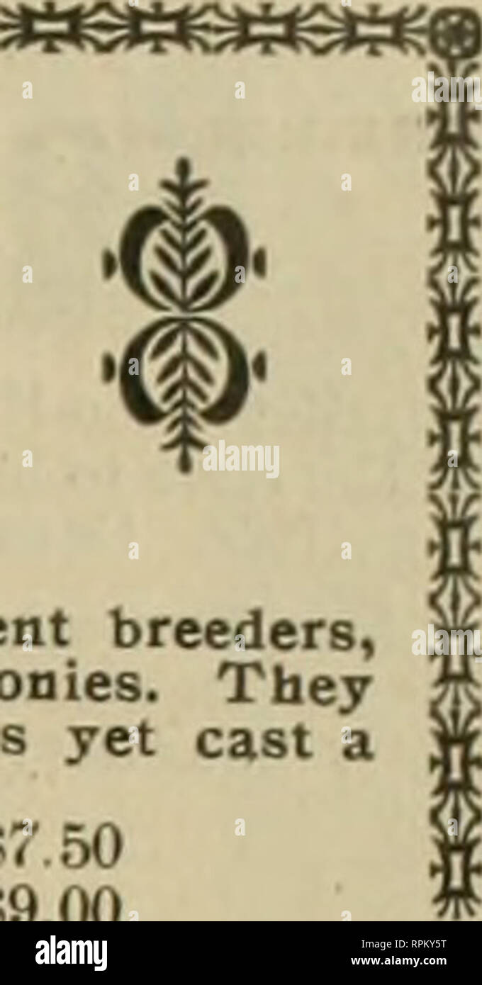 . American bee Journal. Biene Kultur; Bienen. Okt. 12.1905 DIE AMERICAN BEE JOURNAL 717 erlaubt die Bienen zum Bienenkorb zurückzukehren. Dann fiel mir ein, dass die Bienen versucht hatte, die alte Königin zu ersetzen, wenn Sie 20 Frames hatten und immer noch versuchen, das Gleiche zu tun, und darüber hinaus einige Schwarm-ing, da ihre Viertel waren zu beschränken. Eine Untersuchung ergab, dass Sie hatte eine andere Königin und 10 oder 12 queen-Celle. Ich wischte die 6 Kämme und unter der Voraussetzung, dass die Bienen mit 6 neuen Frames mit Vorspeisen, und begann ein weiteres nu-cleus mit den 6 Bildern von Brut und Honig genommen. Jetzt das Ergebnis Stockfoto