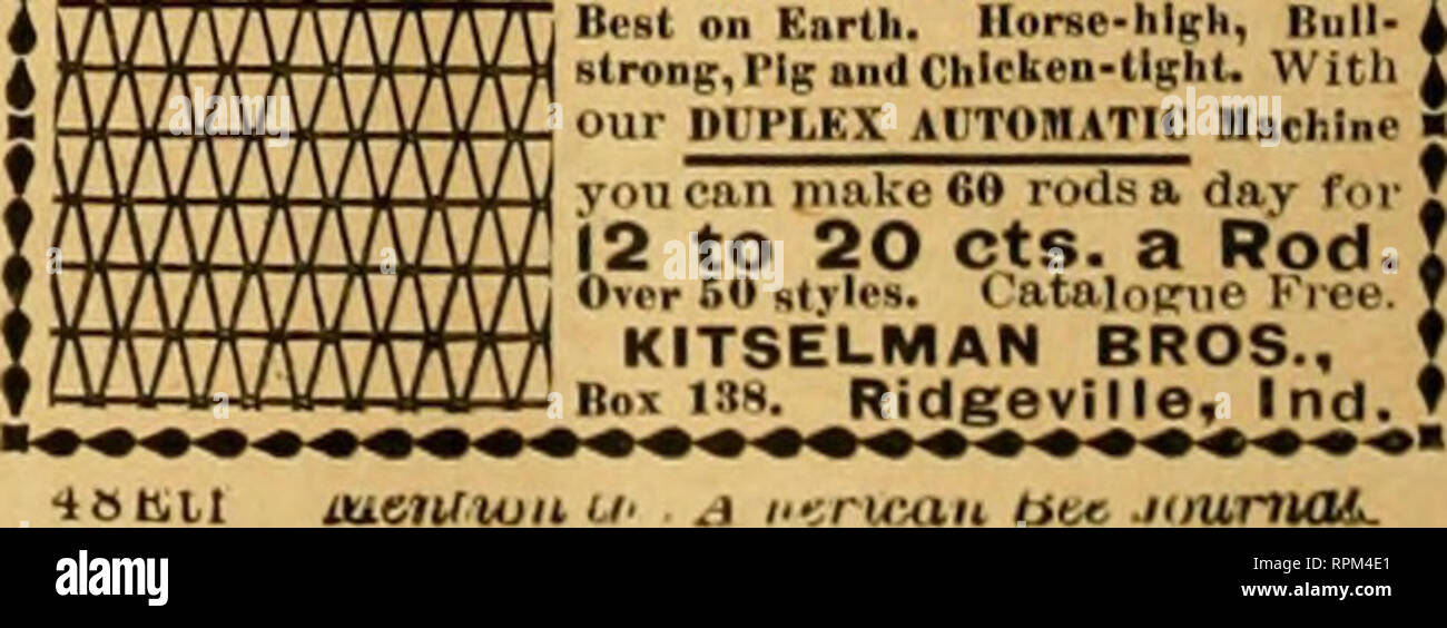 . American bee Journal. Biene Kultur; Bienen. poooooc Tn jeden Tarmefs Familie ** Es sollte eine ** Unser neu *** Ba 9 $ ter ICeacber BiblesI's mit seiner neuesten." ind am besten hilft, neue Konkordanz, indizierte Karten, 16 ganzseitige Abbildungen, klare Art, feine Papier. Französisch Marokko flexi- ble. Größe, wenn offen, 9 xl 3'/4 Zoll. Das Buch von D.L. Moody verwendet und viele andere proDiiiuMit Evangelisten und Minister. Das ist, was es ist und das ist es, was wir mit ihm tun. Wir senden Diese Bibel, Porto zusammen mit der UNION EVANGELIUM NEWS gezahlt. W zahlen, ein ganzes Jahr für nur SI.80; oder wir werden in der Bibel senden Stockfoto