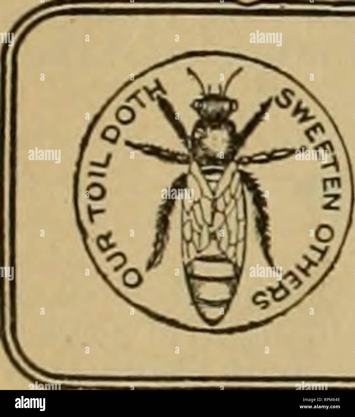 . American bee Journal. Biene Kultur; Bienen. 328 DER AMERICAN BEE JOURNAL Mai 4, 190S und Platz gemacht für das vierte auf der Liste, da nur drei Waren betrachtet werden. Über die Prüfung, alle Kreditkarten meines vorbei zu meinem ausgezeichneter Lehrer gegeben werden sollte, Herr W. L. Coggshall. Sehr respektvoll, Emma V. Haggertt. Natürlich gibt es einige Zufriedenheit konnte, Diag-nose, die Situation so richtig; aber unser guter Freund, Herr Coggshall, wird ohne Zweifel Protest gegen eine so große Anteil an dem Kredit für das Bestehen der Prüfung. Honig Paste für die Zähne acht Unzen ausgefällt Cha Stockfoto