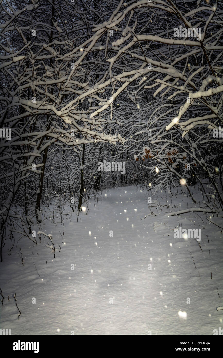 Ksiazański Park im Winter Stockfoto