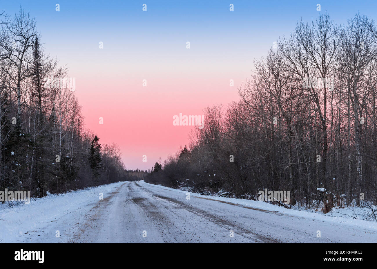 Bunte Himmel in einem Winter morgen auf einer vereisten Straße im Sax-Zim Moor, eine natürliche Moor und Wald im nördlichen Minnesota. Duluth, Minnesota, USA. Stockfoto