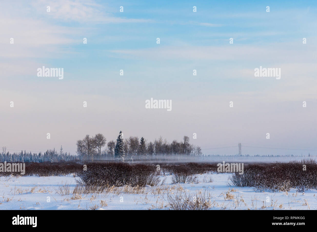 Morgen Nebel in einem weit offenen Feld im Winter. Duluth, Minnesota, USA. Stockfoto