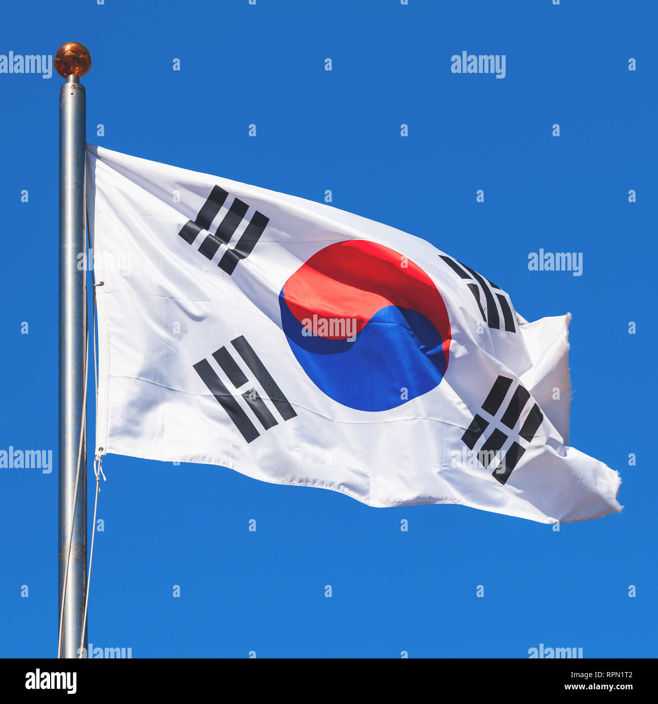 Südkorea Flagge, auch bekannt als die Taegukgi winken auf einem Fahnenmast, Quadrat Foto Stockfoto