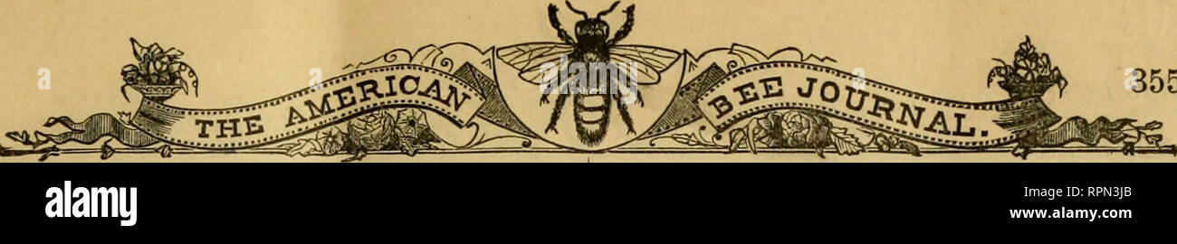 . American bee Journal. Biene Kultur; Bienen. 355 Sache für Winter speichert. Wenn Jahreszeiten sind schlecht, wenn die Kosten von einer Million Bienen nicht gesucht in Honig gespeichert wurden, wäre es gut für uns ist. Die Frage nach der Über-Strumpf hat, glaube ich, nicht ausreichend besprochen, da Herr Hazen gestoppt. Ich habe 75 Kolonien, und sehr viele von ihnen füllen ein 2-stöckiges, 10 Frames Langstroth Bienenkorb. Sie wurden weitgehend von Schwärmen durch das Raum aufbewahrt, und hier wird es sein, zu sagen, dass einer der Vorteile von bis Tiering, in der hinzugefügten Zimmer liegt für eine größere Kraft der Arbeitnehmer. Ich verwende den breiten Rahmen und 6 Abschnitt Stockfoto