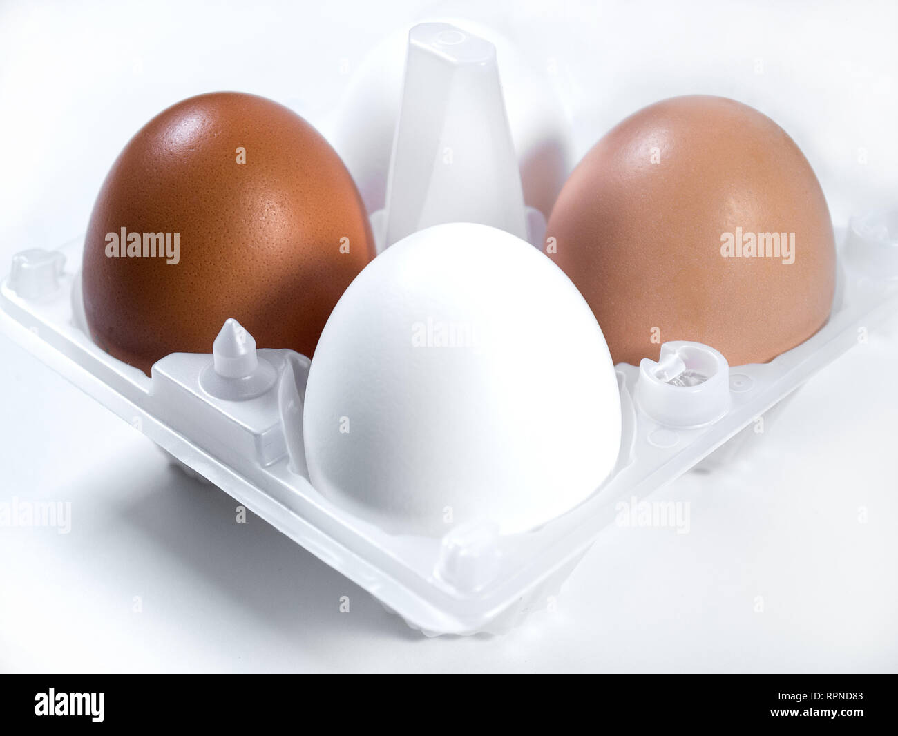 Frische Hühnereier weiß und braun in Kunststoff Verpackung, Hintergrund Stockfoto
