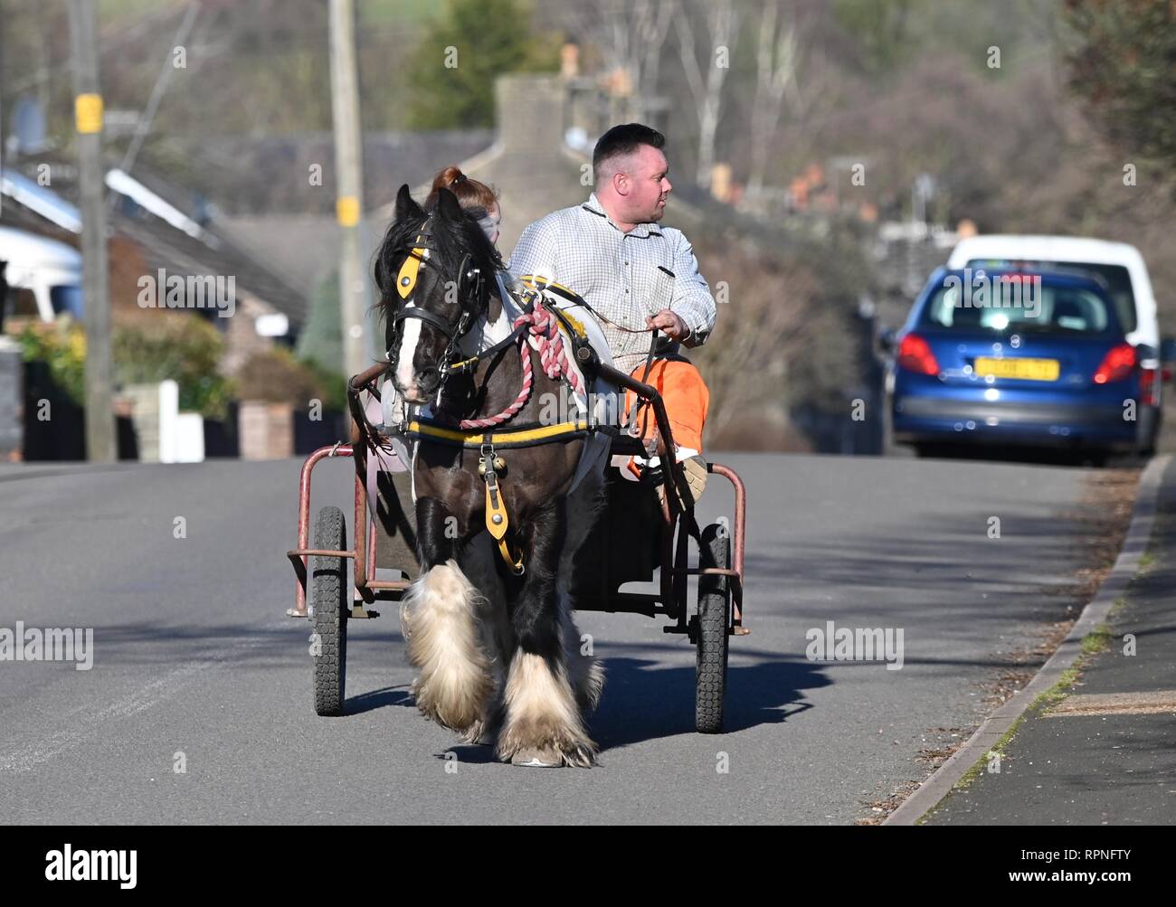 Ein Pony und falle auf Bate Mill Road am Stadtrand von neuen Mühlen, Derbyshire Stockfoto