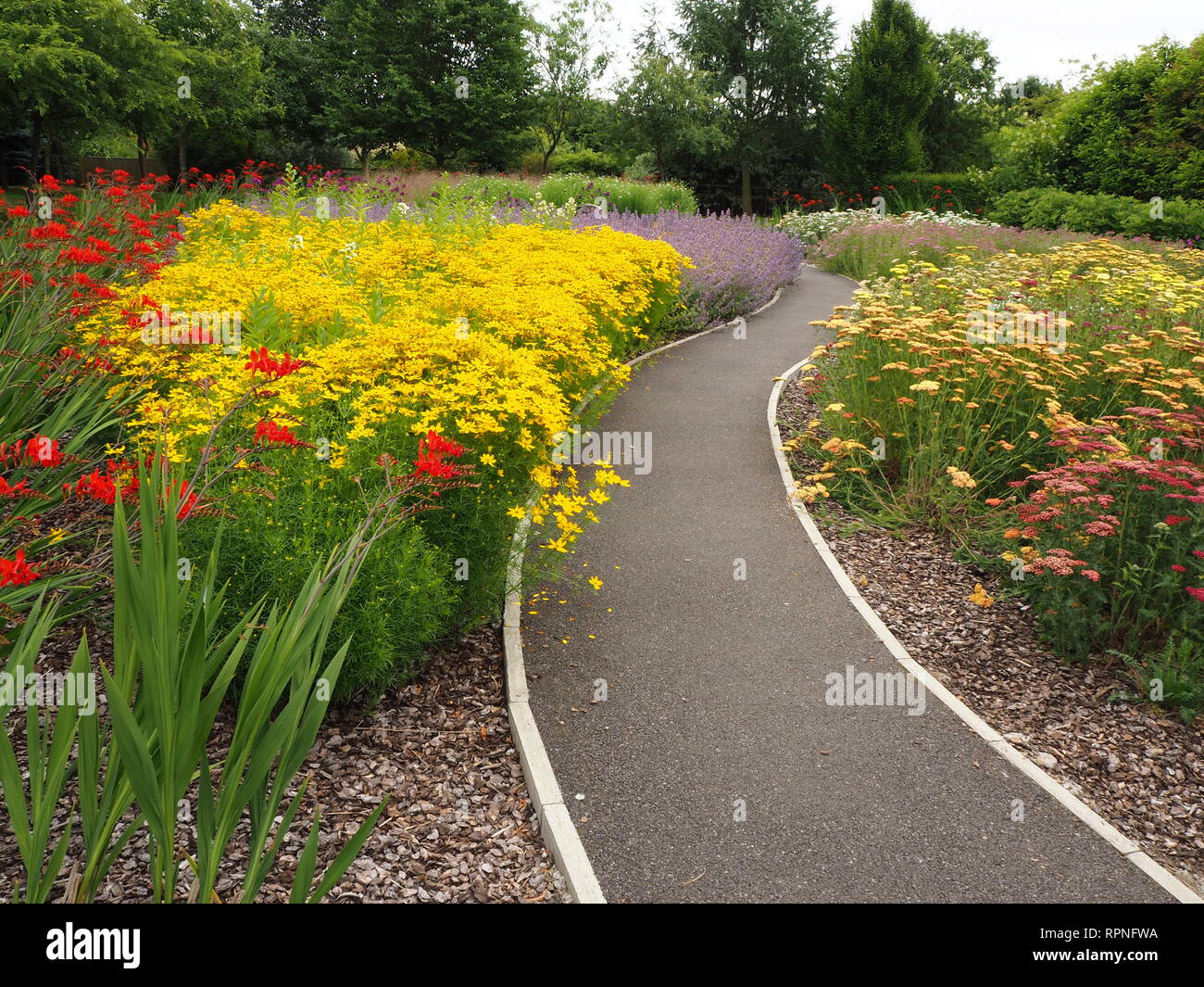 Weg durch die Blumen in bunten Sommer Grenzen in Breezy Knie Garten an Warthill in der Nähe von York, England Stockfoto