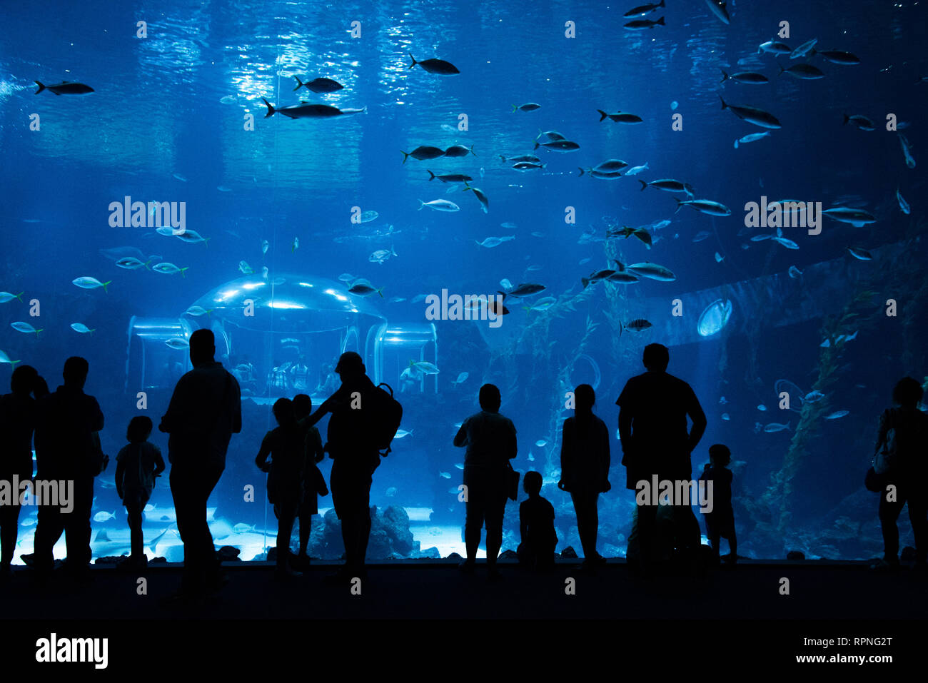 Las Palmas de Gran Canaria, Kanarische Inseln, Spanien - 1. Juli 2018: Besucher genießen Blick auf das Leben im Meer in der größte Behälter von Aquarium Poemas del Mar Stockfoto