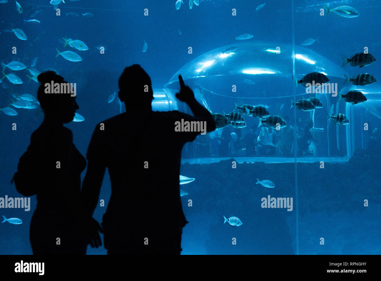 Las Palmas de Gran Canaria, Kanarische Inseln, Spanien - 1. Juli 2018: Besucher genießen Blick auf das Leben im Meer in der größte Behälter von Aquarium Poemas del Mar Stockfoto