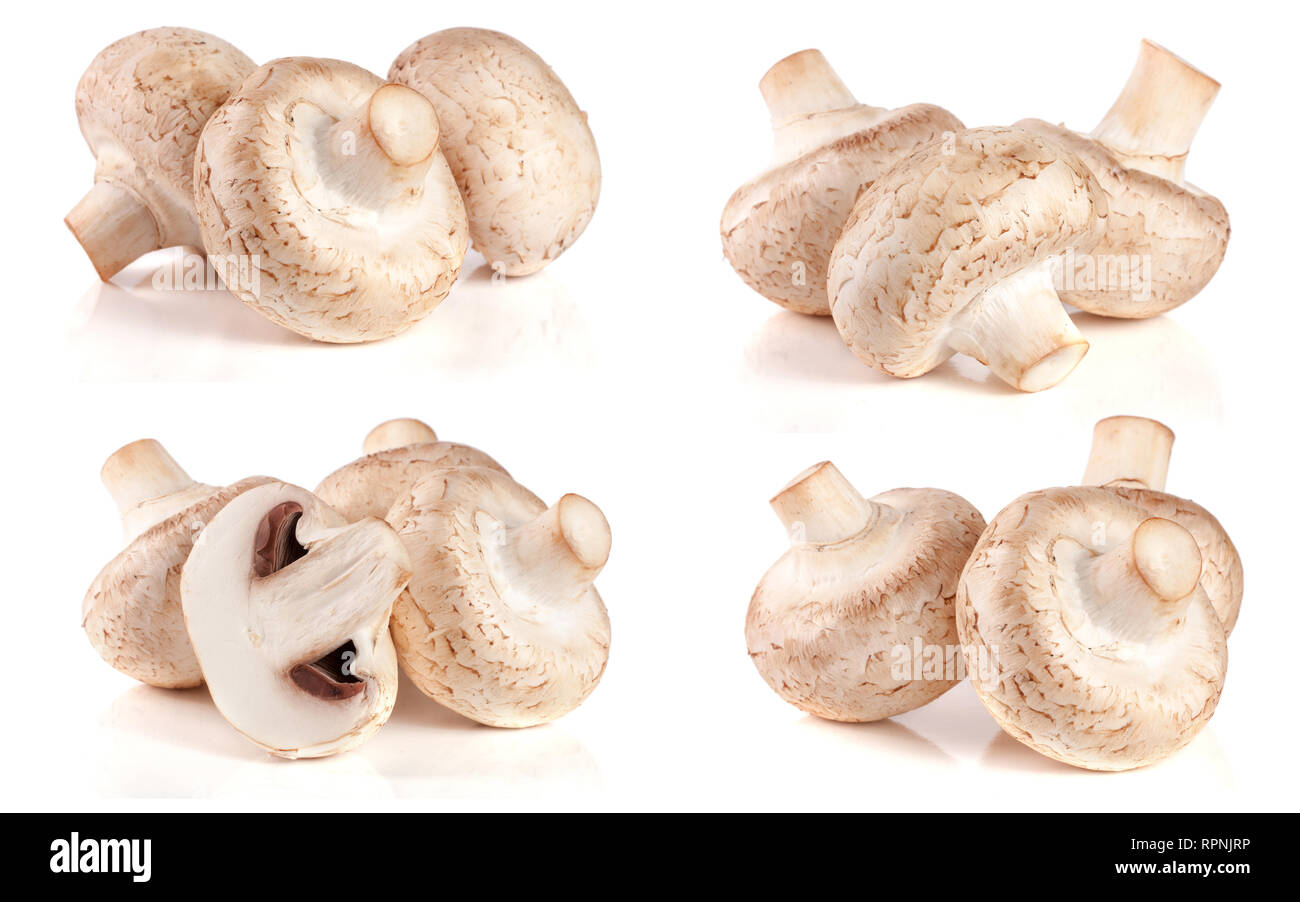 Frische champignon Pilze auf weißem Hintergrund. Eingestellt oder Sammlung Stockfoto