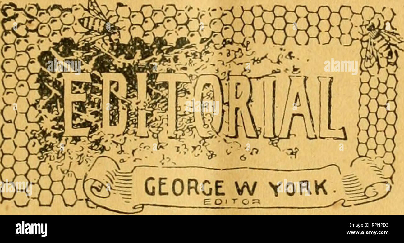 . American bee Journal. Biene Kultur; Bienen. W"'"' klv&lt; R1 £ 1 Yen - ich AUSSCHLIESSLICH weeKiy, i^i* weai.^^^^^^ Bee-Cult URE. Probeheft kostenlos. VOL XXXIII. CHICAGO, ILL, JAN. 18., 1894. Nr. 3.. Jake Smitli ist wieder mit seiner halb-komische Briefe an "Herr gehört A. I. Gleen-ings." Wenn wir wirklich versuchen sollten, wir denken, wir sagen kann, wer "Jake Smith" ist. Aber es macht mehr Spaß, nicht zu sagen. iVIany Beiträge, die wir immer erhalten Sie in dieser Zeit des Jahres, und natürlich kann sie nicht alle auf einmal veröffentlichen. Denen, die uns gesandt haben nichts für die Bee Journal, die noch unveröffentlicht ist, Stockfoto