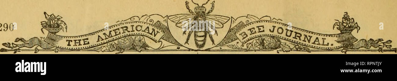 American Bee Journal Biene Kultur Bienen 290 Amerikanische