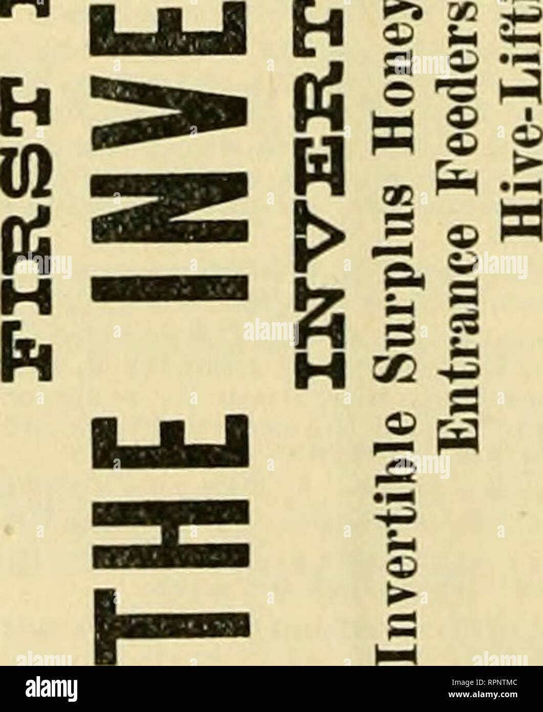 . American bee Journal. Biene Kultur; Bienen. ^ © 13 © ll Mo s £ a, "^r '^a o "S&gt;&gt; - % (0S F. rn&lt; D O B^h-l BIENE KRAFTHEBER und Abschnitte - Senden an HEKP. &Amp; BEITLE, n) anufaaiii, Wi, für Preislisten. (Joud niaterials. Niedrige Preise. l ('A "J6t Dadant-Maße der Stiftung Fabrik, Großhandel und Einzelhandel. Siehe Werbung in anotiier Spalte. Bingham Raucher und Honig - MESSER. Für Rundschreiben senden. Bingham & Amp; Hetherington, ABRONIA, miCH. Ja IP Sie möchten 2 - SlmDllcity-frame Kernen etwa Juni 10 ausgeliefert, in stronp: Zustand, mit ungefähr 1 Pfund beea und eine ungetestete Italienische Königin, für 1^2. (10, Tou muss Stockfoto