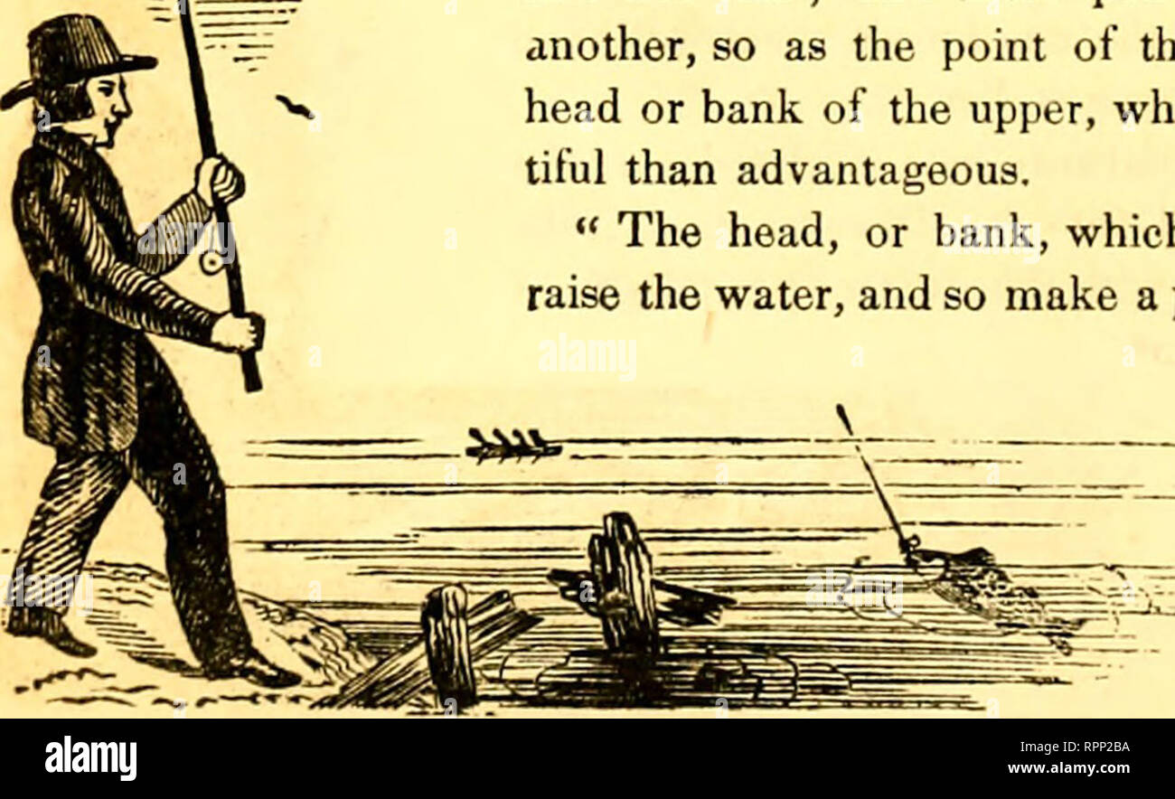 . Der amerikanische angler Guide: oder, Die komplette Fisher Handbuch, für die Vereinigten Staaten: Mit den Meinungen und Praktiken von erfahrenen Anglern beider Hemisphären; mit der Hinzufügung eines zweiten Teil.. Angeln. Die angrenzende hügeligem Gelände. Und dass diejenigen, die Teiche, die mit dem veralteten und Dung der Pferde, Rasse den größten und fettesten Fische. "Der Teich ist zu beachten, dass der Kopf am niedrigsten Teil der Erde und der Graben der Sintflut - Tor, oder Schleuse, hat eine gute Swift fallen, daß sie nicht lange auf Entleerung. "Wenn der Teich trägt sechs Füße von Wasser ist es genug; aber es mus Stockfoto