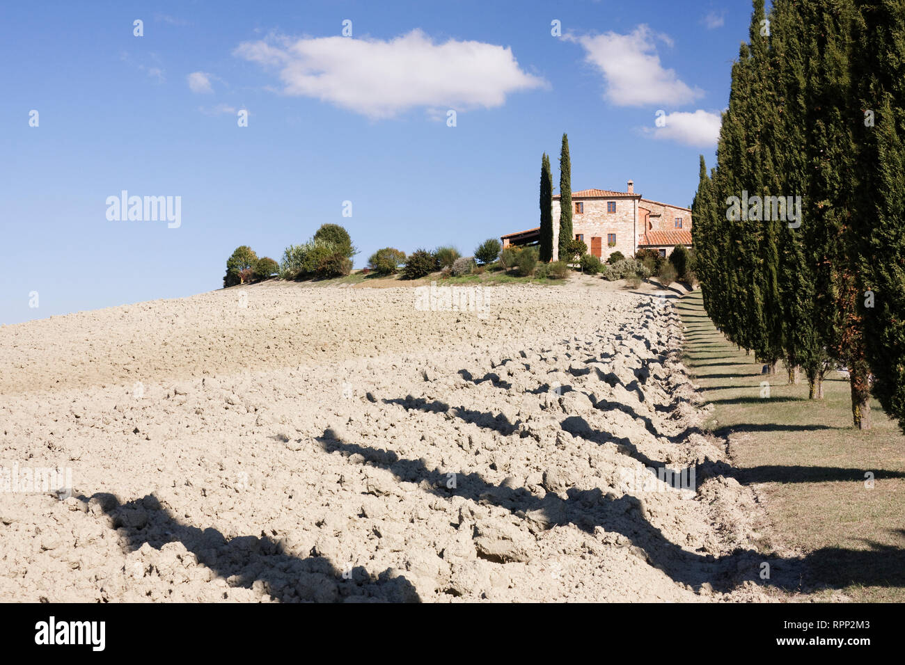 Bauernhaus und Zypressen Stockfoto