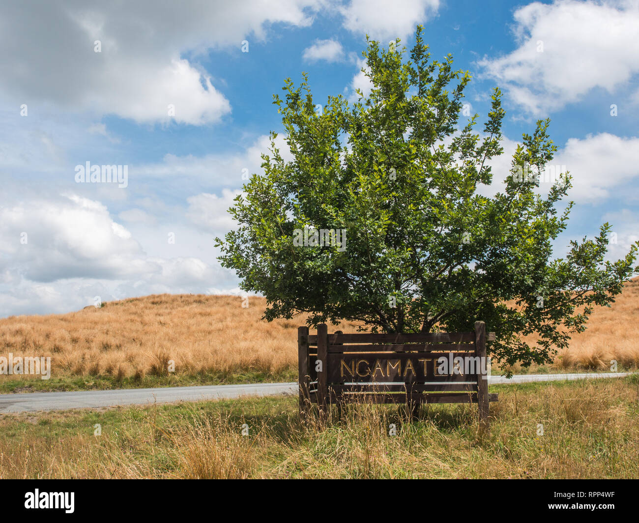 Ngamatea Station Eingang anmelden, Taihape Napier Road, Inland Mokai Patea, Central North Island, Neuseeland Stockfoto
