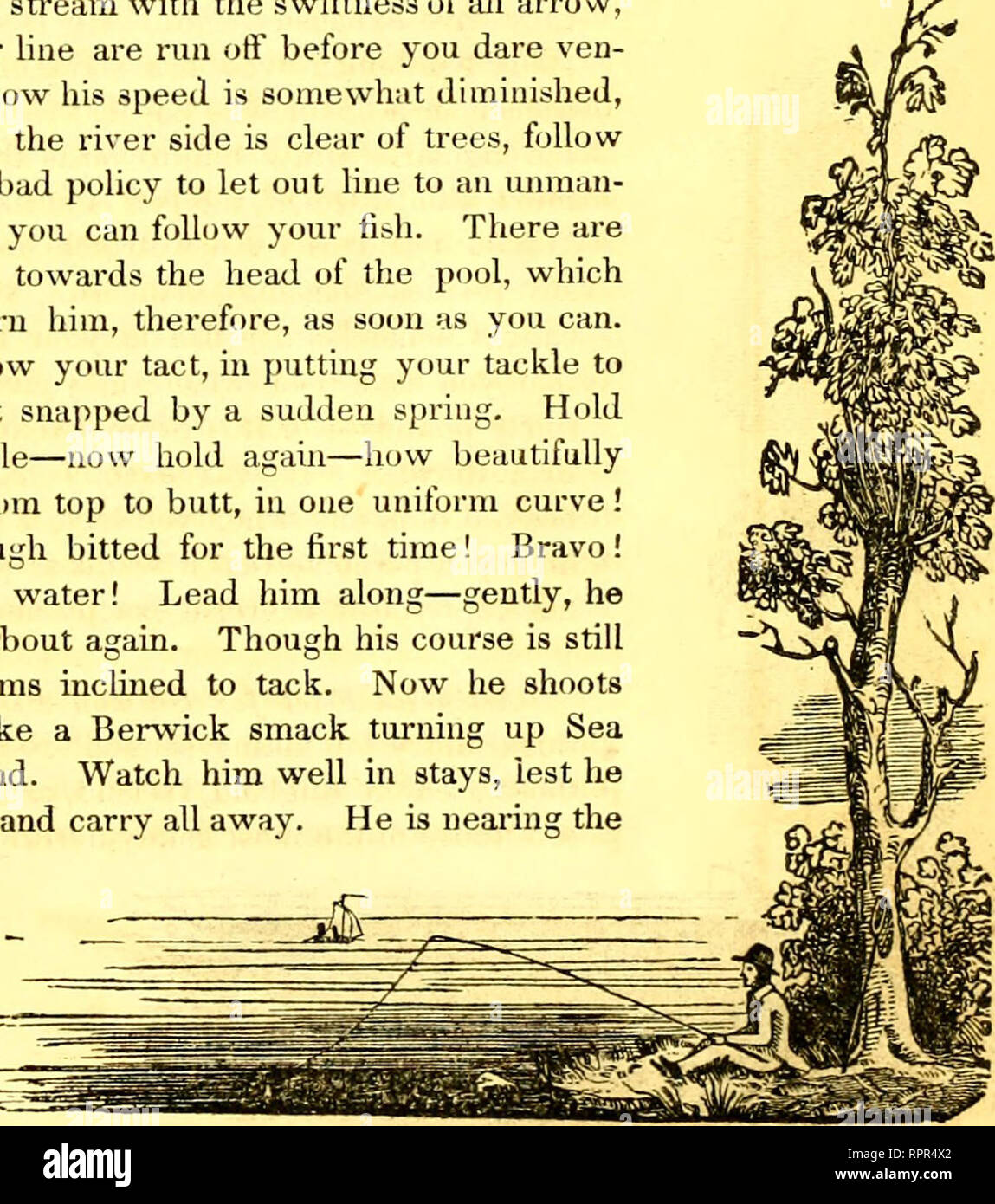 . Der amerikanische angler Guide: oder, Die komplette Fisher Handbuch, für die Vereinigten Staaten: Mit den Meinungen und Praktiken von erfahrenen Anglern beider Hemisphären; mit der Hinzufügung eines zweiten Teil.. Angeln. Die Lachse. 59 gewalttätig, wird sie nur selten ihre Fische an den Haken zu scheitern. Eine Organisationseinheit für die Con-trary, den plötzlichen Ruck ist selten mehr oder ess als ein Nibble; Sie sollten daher eine moderate ziehen, die eher begeistern ihr Spiel geben, und ihn wieder für die Würmer zu rufen! Die folgenden praktischen Informationen, von "Fisher's Angler's Souvenir", geben dem Leser eine Vorstellung von der Art und Weise o Stockfoto