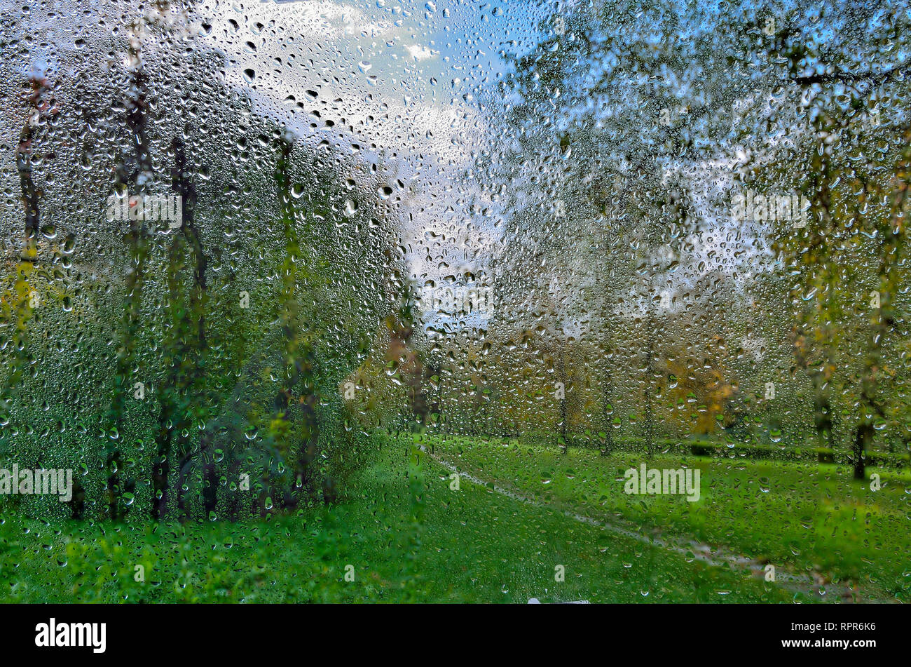 Helle, farbenfrohe Herbst verschwommenen Landschaft im City Park mit nassen Laub nach Regen durch nasses Fenster Glas mit Regentropfen. Regnerischen herbst Wetter und Stockfoto