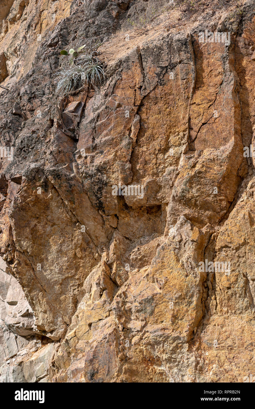 Riesige Felswand mit wenigen Pflanzen auf die Oberseite in Peru Stockfoto