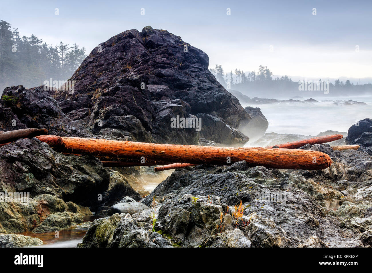 Felsenküste des Pacific Rim National Park, Vancouver Island, British Columbia, Kanada. Stockfoto