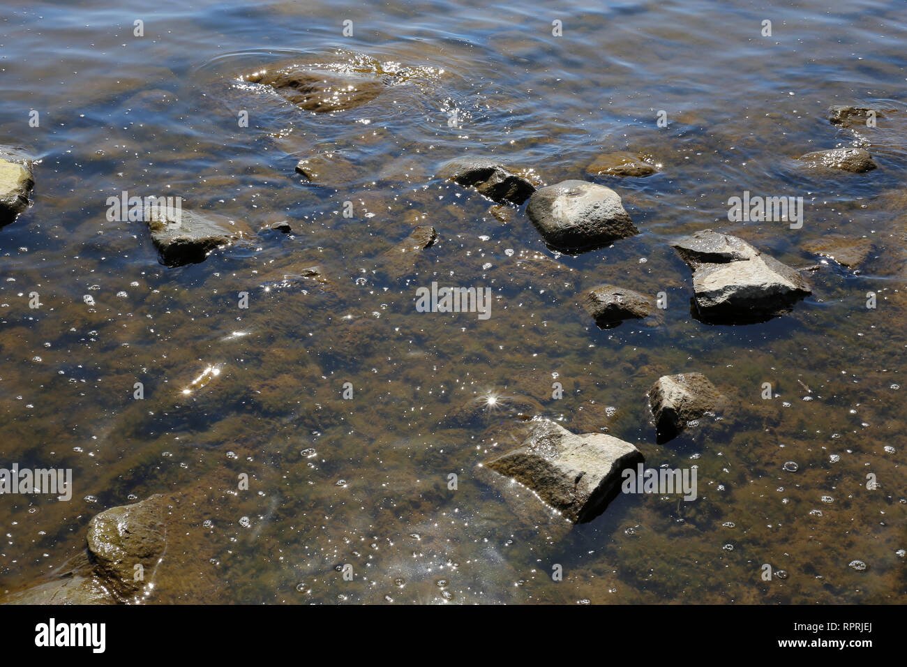 Ostsee fotografierte in Finnland an einem sonnigen Tag im Frühling/Sommer. Sehen Sie einige Meerwasser mit kleinen Wellen und braunen Felsen sowohl unter Wasser. Stockfoto