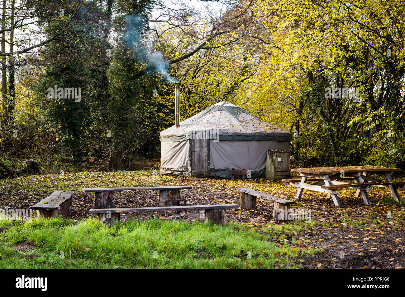 Traditionelle Jurte im Wald, Glamping bei Herbstsonne Stockfoto