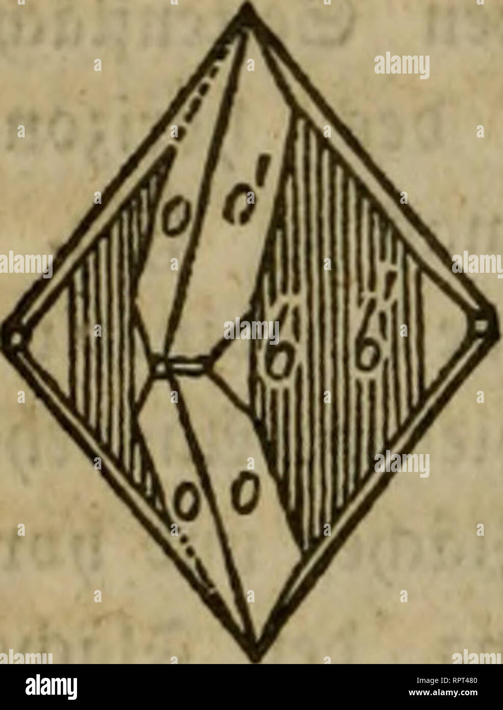 . Allgemeine Naturgeschichte für alle Stände. Natural History. ST 2 £ [&lt;]. 169.. "Äh, unb ftier, wie bcmn $ lrragon, ft' nb einfache GrwfUllc feiten, unb bas' @ tfc $ ber SSermadjfung I|l ebenfalls wie bepm &Lt;2 trvagon, namlid; BIC3ufamiTtcnfc^ un 3 ^w^^e itf parallel einer^ riömcn = f [äd) e g. Saö Qlnfcf; en ber&gt; Joh&gt; Ich {ftnae ijl natüvlid) ocrfdjicben, je naajtcm Cic uerbunbenen^ nbioibuen pnramibal Tafe (= ober fäulenartig finb. $ ig. 169 fTeftt bestellen&gt; $ i" Tfc fing rnjlafl beö (£ 3 Gig. 166 bar. Kmu-ans-geführten Kombinationen ft' nb Nid) t bie £ tHlftc bei* beobad) teten, bagegen, wie fdjon bemerft Stockfoto