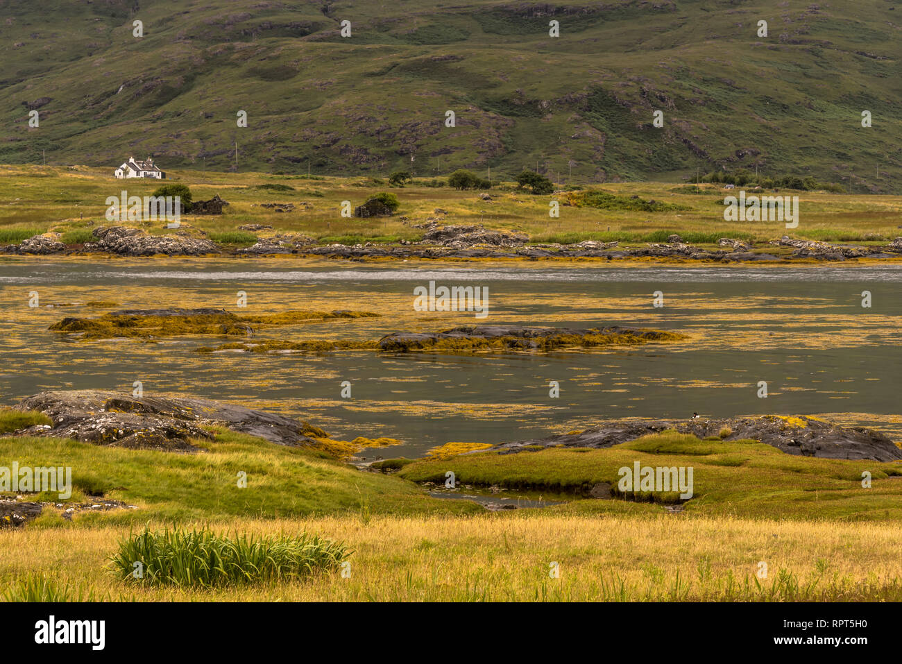 Typische Landschaft an der Küste der Isle of Mull, Inneren Hebriden, Schottland, Vereinigtes Königreich Stockfoto
