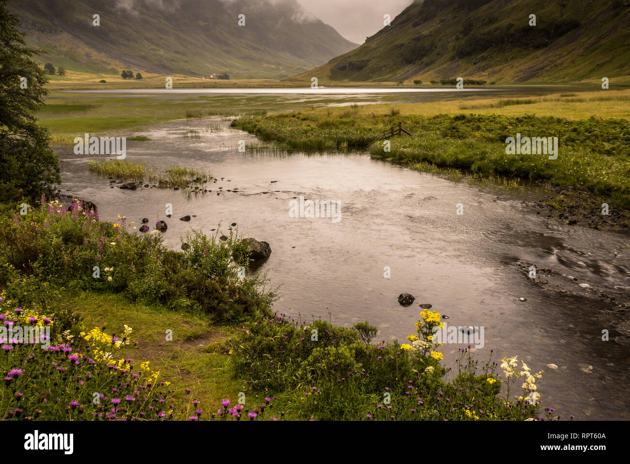 Typische Landschaft an der Küste der Isle of Mull, Inneren Hebriden, Schottland, Vereinigtes Königreich Stockfoto