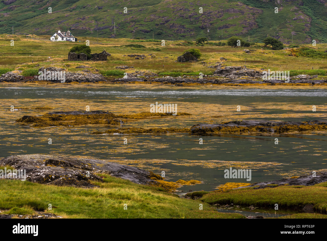 Typische Landschaft an der Küste der Isle of Mull, Inneren Hebriden, Schottland, Vereinigtes Königreich Stockfoto