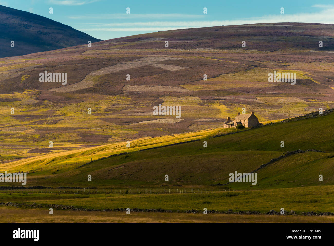Typische, rual Landschaft mit antiken Ruinen und endlose Wiesen und Weiden, Sutherland, Highlands, Schottland Stockfoto