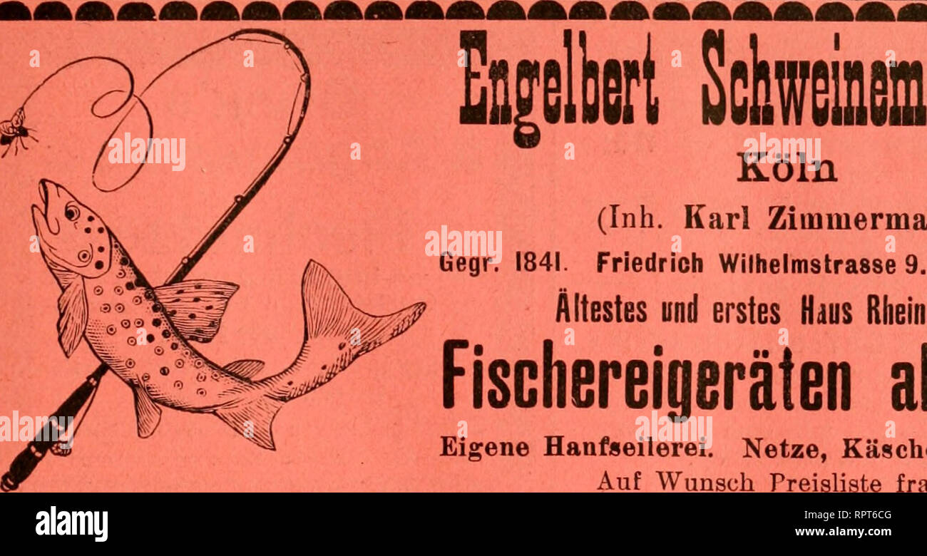 Teenager schwarzer Pussie