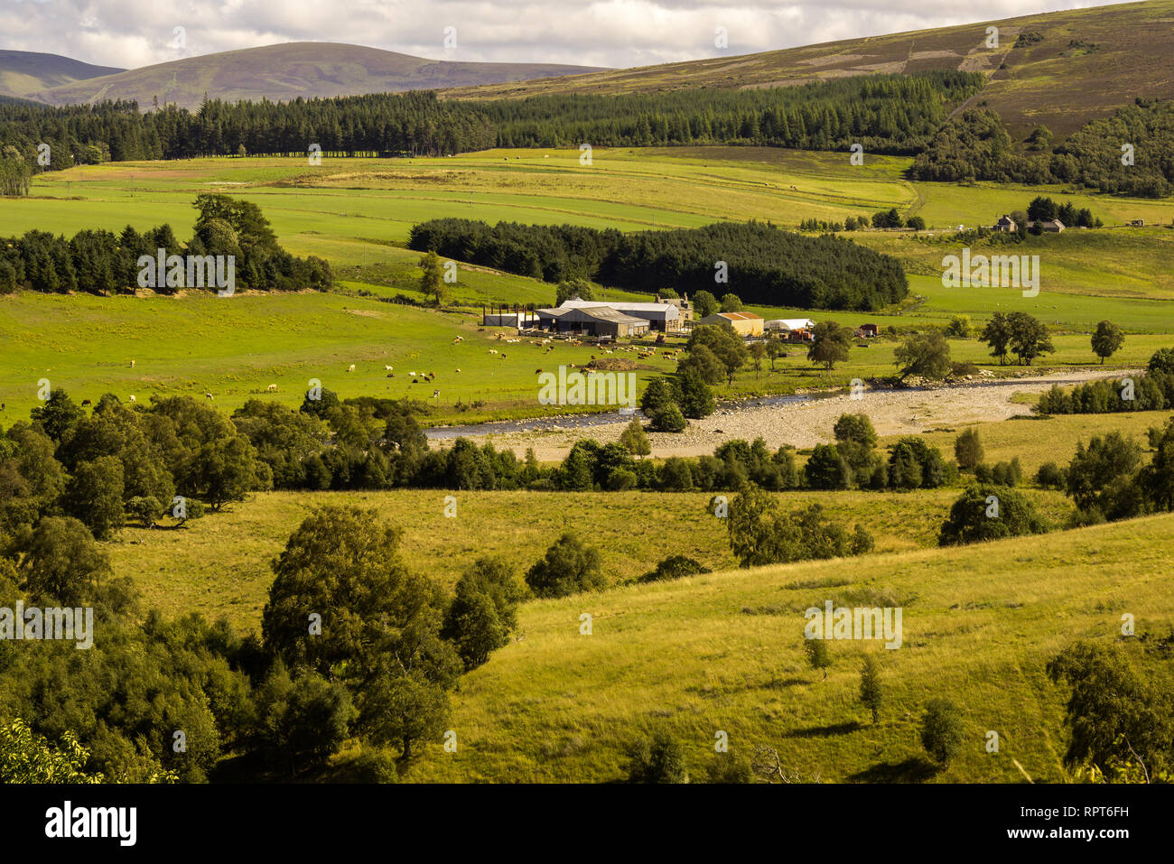 Typische, ländliche Landschaft mit Bauernhöfen, Weiden, Vieh Highlands Schottland Stockfoto