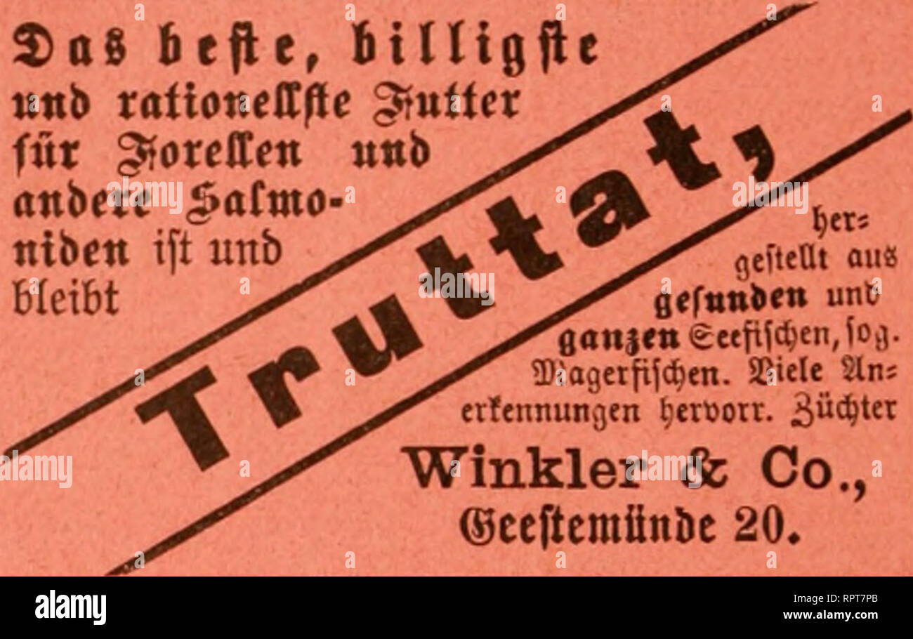 . Allgemeine Fischerei-Zeitung. Fischzucht HQttenhammer von Remsclieid-Eyu; ngha astn Uafert: Eier, Brnt und Setzlinge der Baoh -, der Regenbogenforelle und des Bachsaiblings. ^C^Ubotf tttße, WKmnii, tmpitf) lt atigeitätete% int Onit nnb Ca^fif^e bott iBad^^ faibling fotette, Va, flegett* (nentBÜci ogenfoceUe aus fci^^ j., geiuä^^ ttet Raffe. Könlzl, saclis. siaaimeiialiiß I 89 i Kflnlii. Preiur Staats- meilalllß 1896. Preij Slezeretirenprels, I., Dresden 1897. Hambnrg-Hannovsr'scher FiscbzDcht-Verein offerirt ich;^angebrütete Eier" t^aus Brutanstalt und Fischzüchterel Thiergarten der untenstehe Stockfoto