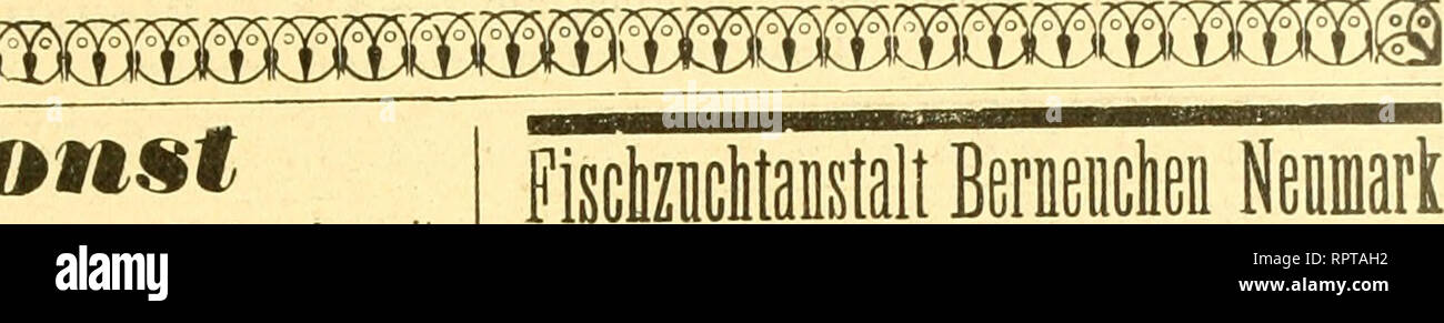 . Allgemeine Fischerei-Zeitung. is also oB:^ tttpfen, ein-nnb jweifömmengc. Äu SInfragen ridjten Eine ben SSorftonb bcr? (nftalt: (5) 51 * &Lt;B^^ ev, iiiin üttc Sö^^ cn,^ eopolbftrafje 9. MJtuMon&AMP;t nicht, aber,^ Ähm (SeI [iftfoitciiptei §, offerire, fo weit bcr iPon-atl) vinct) t, mein "Ager in gijdifutter, ml Idi meine Stönmlidifeiten jur Gabri^^ ncn erfiuibcnen irnng werden?" 3) = orjd eaöiar öoajtänbig in 5 Iniprndi net) nien nuife. Onrueclcii. . Pv.etr. ^ 10,50, l'onft 12,50 © nriicclmcljl. """", 12.- 15.-- CC^^ ütc ßeUanntcr 6. "^^: M H. POPP, Haniburö, St. Pauly-Langestrasse 21 (Wohnheim. Jlltonaer gijdj Stockfoto