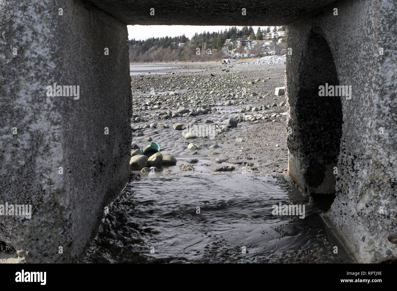 Auf der Suche durch einen Düker bei Ebbe auf White Rock Beach in White Rock, British Columbia, Kanada Stockfoto