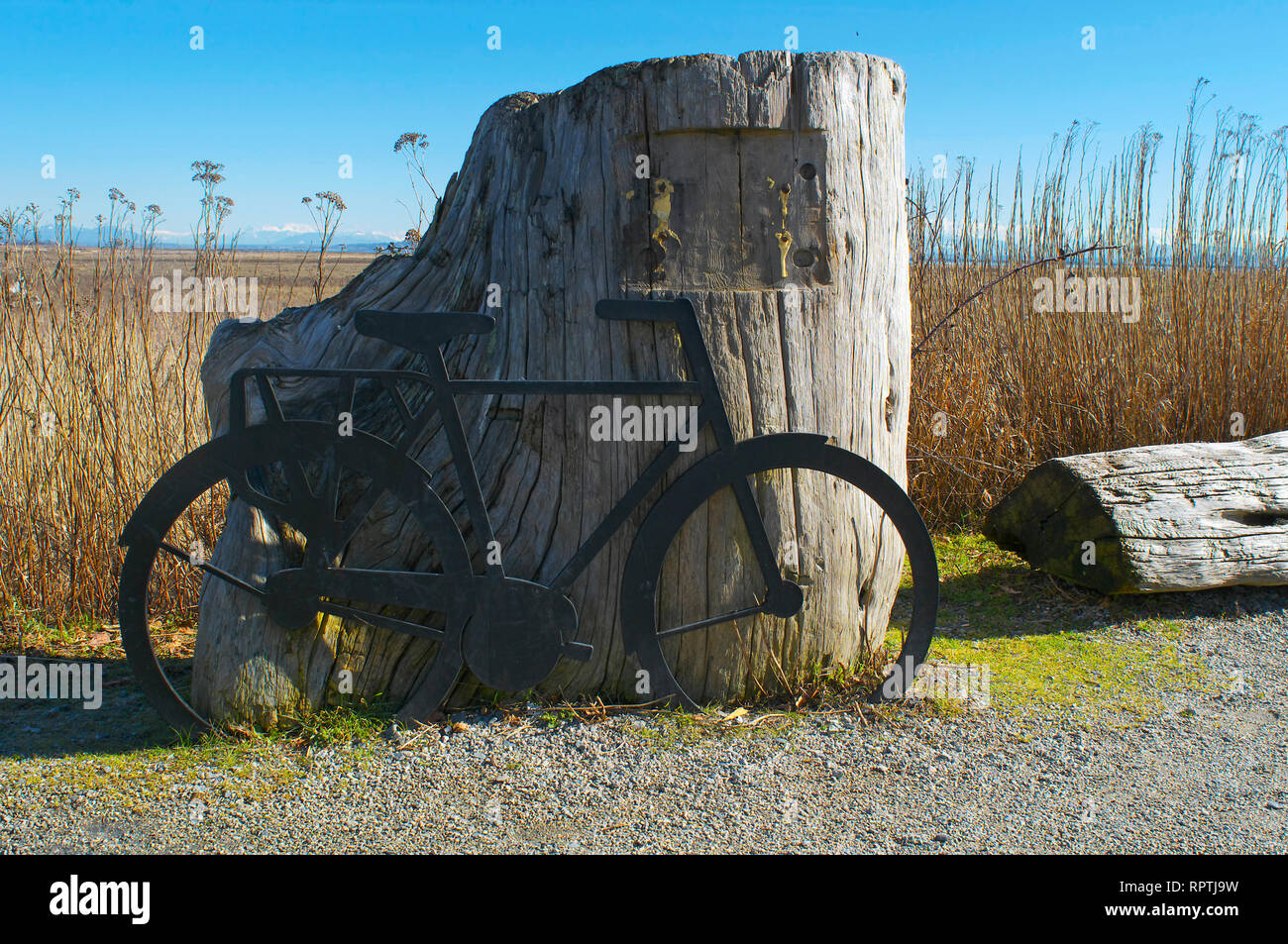 Ein Fahrrad Replik gegen eine verwitterte Stumpf entlang der Begrenzung Bay Deich Trail in Tsawwassen, British Columbia, Kanada gefunden. Stockfoto