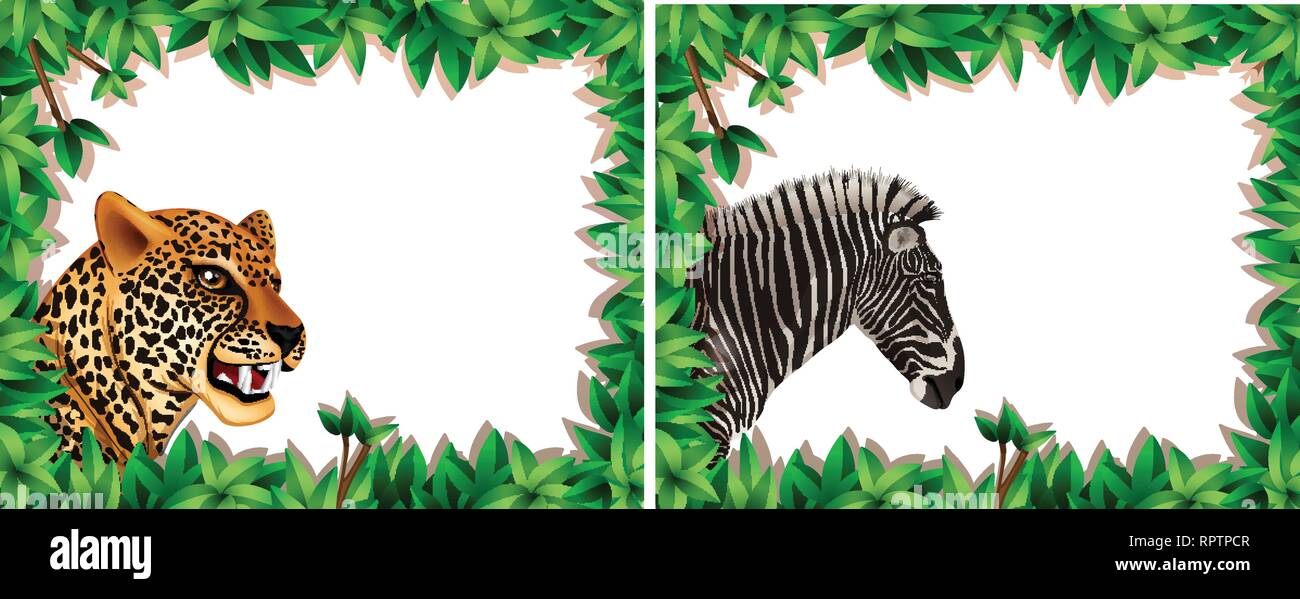 Zebra und Leopard auf Natur frame Abbildung Stock Vektor