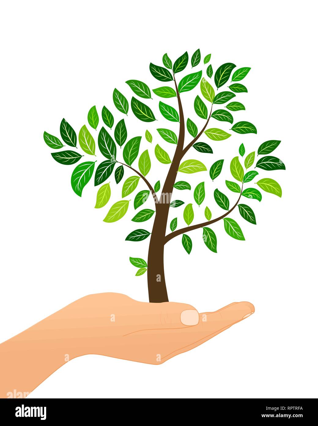 Baum mit grünen Blättern in der Hand isolaed auf weißem Hintergrund. Eco-Konzept. Vector Illustration. Stock Vektor