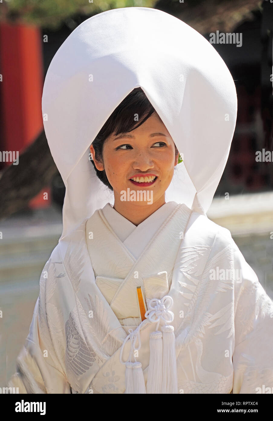 Shinto Braut in traditionellen uchitake Brokatartige weisse Hochzeit Kimono mit tsunokakushi Kopfstück an sumiyoshi Shinto Schrein in Fukuoka, Japan. Stockfoto