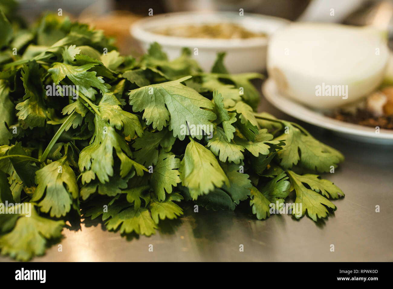 Zutaten für mexikanisches Essen Koriander in Mexiko Stockfoto