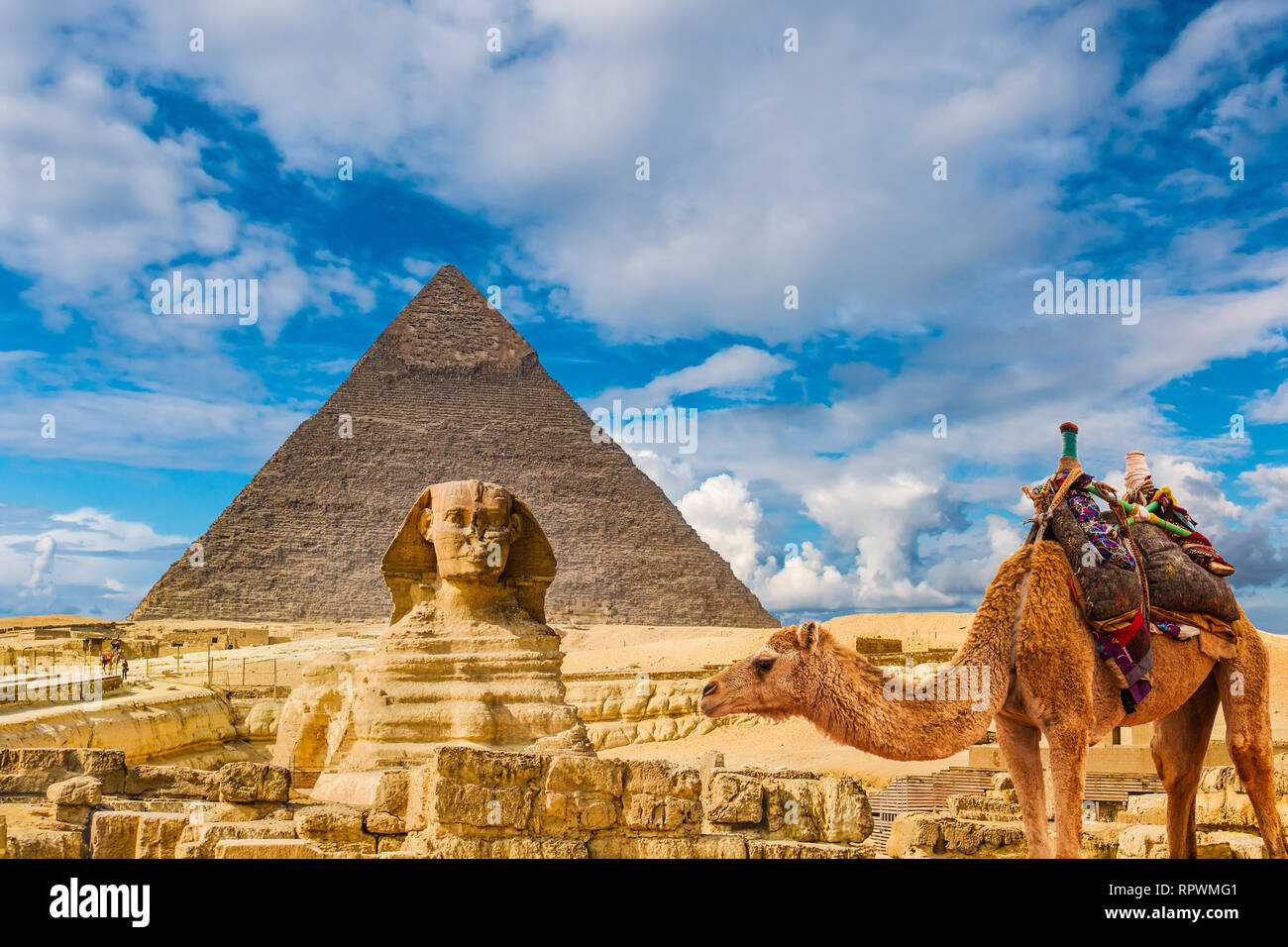 Die Sphinx und Pyramiden und Kamel, Kairo, Ägypten Stockfoto