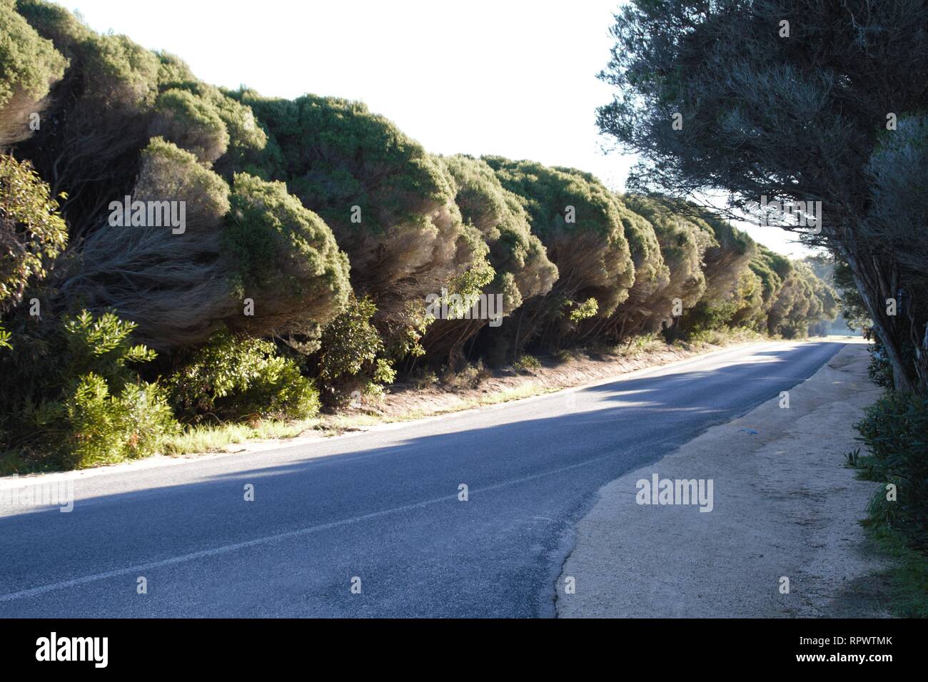 Irgendwo in einer kleinen Stadt in Australien mit Wind Sträucher angetrieben Stockfoto