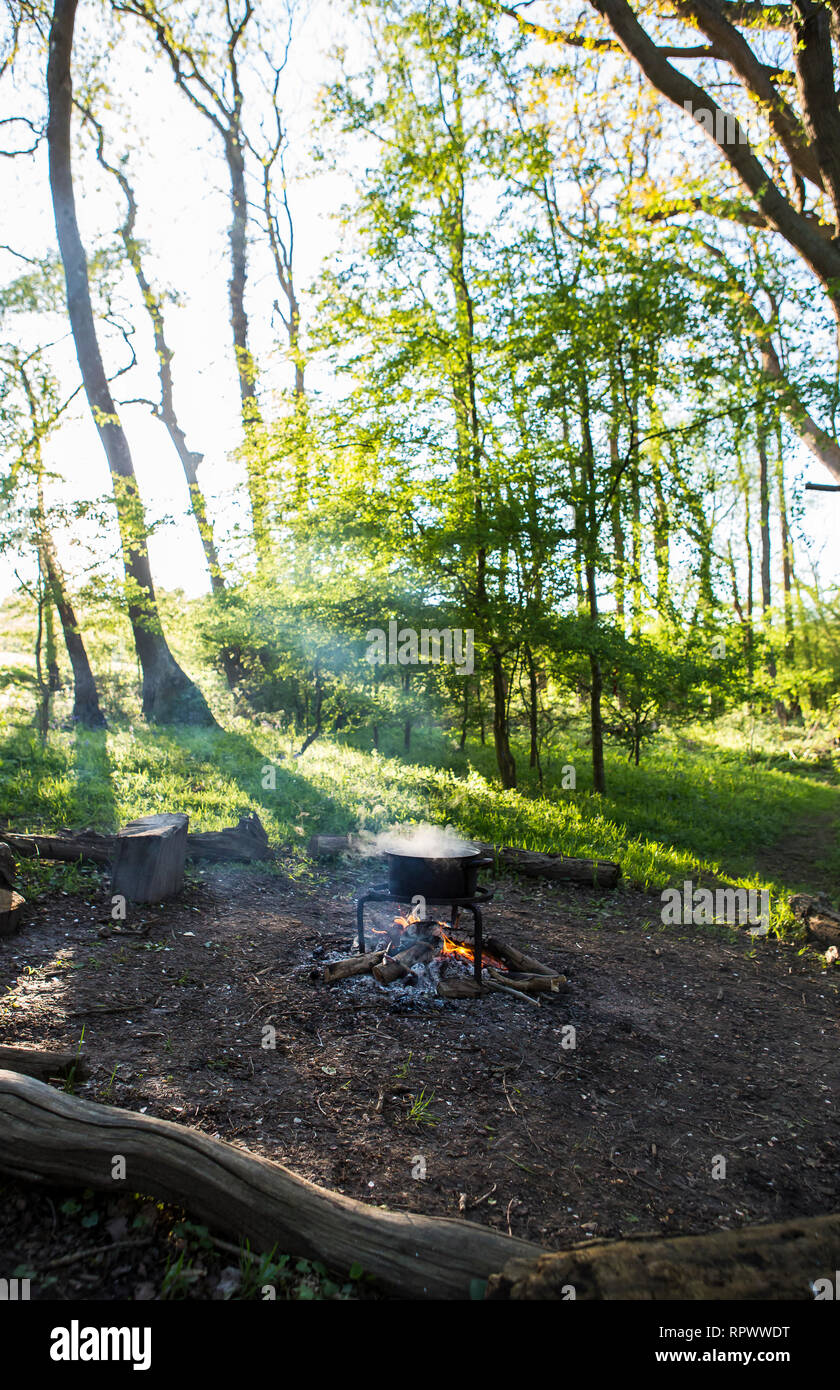 Kochen über einem Lagerfeuer in einem Waldgebiet in Kent, Großbritannien Stockfoto
