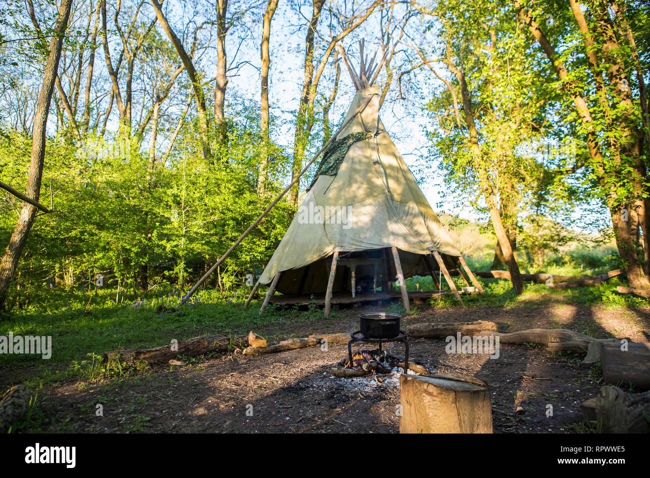 Kochen über einem Lagerfeuer durch ein Tipi in einem Waldgebiet in Kent, Großbritannien Stockfoto