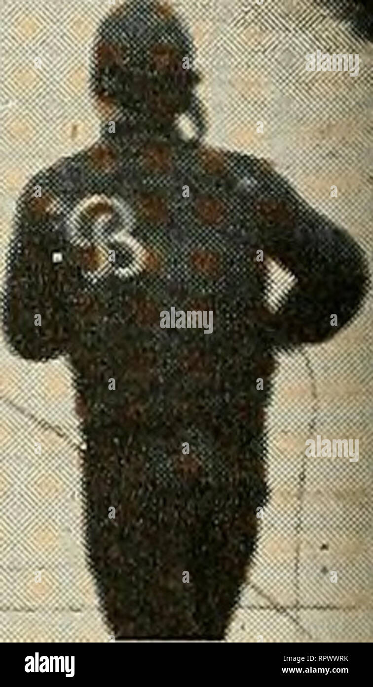 . Die Aleutian Inseln: die Menschen und natürlichen Geschichte (mit Tasten, die für die Identifizierung der Vögel und Pflanzen). Aleuts; Natural History. Platte 3 oben: US Navy u-boot Andocken an Dutch Harbor, Unalaska. (Offizielle US Navy noch.) Unten: Das Dorf von Unalaska (Iliuliuk) auf Unalaska Island, zwischen 1764 und 1770 errichtet. Unalaska seit vielen Jahren die größte Stadt und wirtschaftliches Zentrum im aleutians. (Foto aus dem Ewing Galloway.). Bitte beachten Sie, dass diese Bilder aus gescannten Seite Bilder, die digital für die Lesbarkeit erhöht worden sein können extrahiert werden - Colora Stockfoto