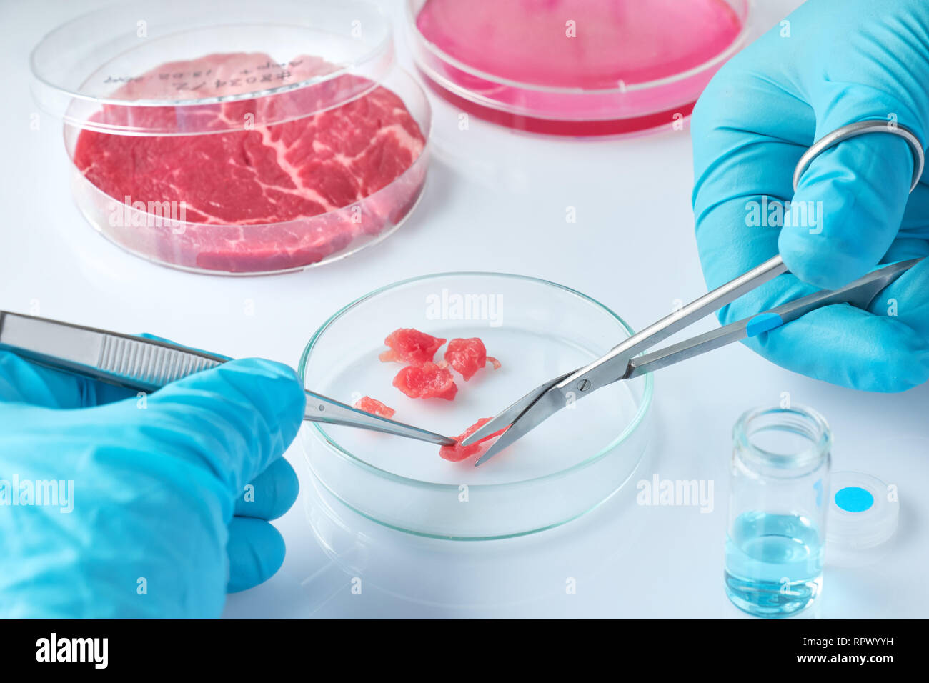 Fleisch Probe in offenen wiederverwendbare Zellkulturschale im modernen Labor oder Produktion. Geschrieben Label auf dem Teller wurde generiert, fo Stockfoto