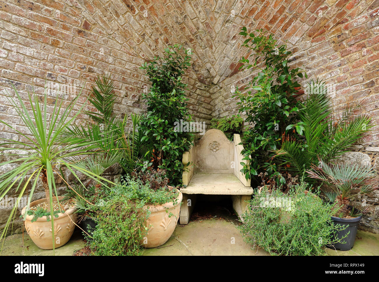 Einen Sitzplatz im Garten, umgeben von Pflanzen und Büsche mit einer alten  Mauer hinter Stockfotografie - Alamy