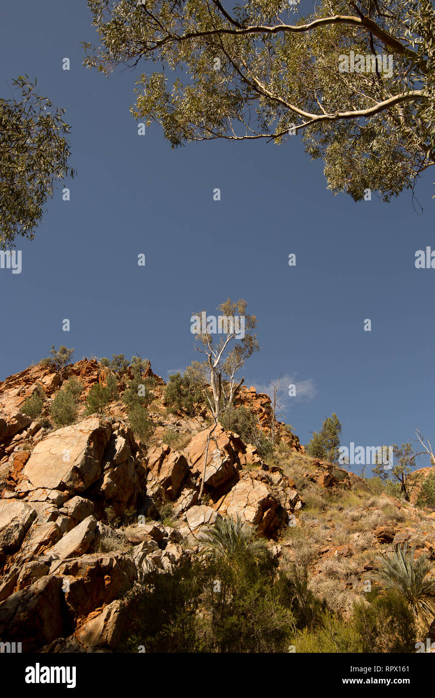 Standley Chasm Angkerle Atwatye ist als ein Muss angesehen Siehe 'spektakulären geologischen und bedeutenden kulturellen Ikone der zentralen Australien. Stockfoto